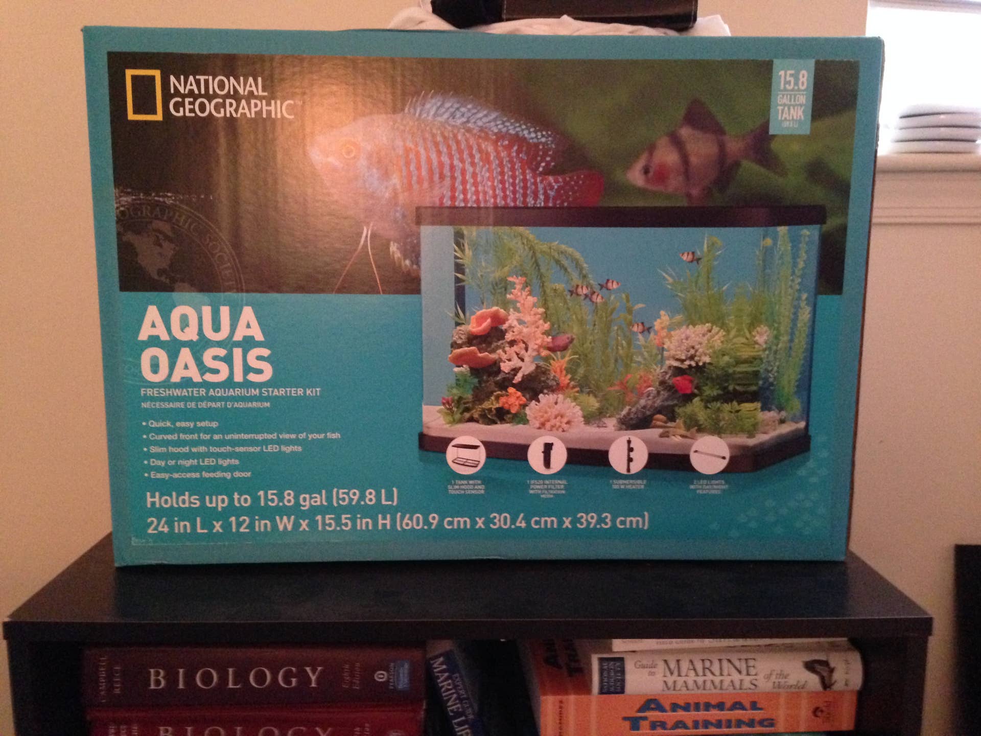 Setting Up A Freshwater Aquarium A Guide For Beginners How To Set Up A