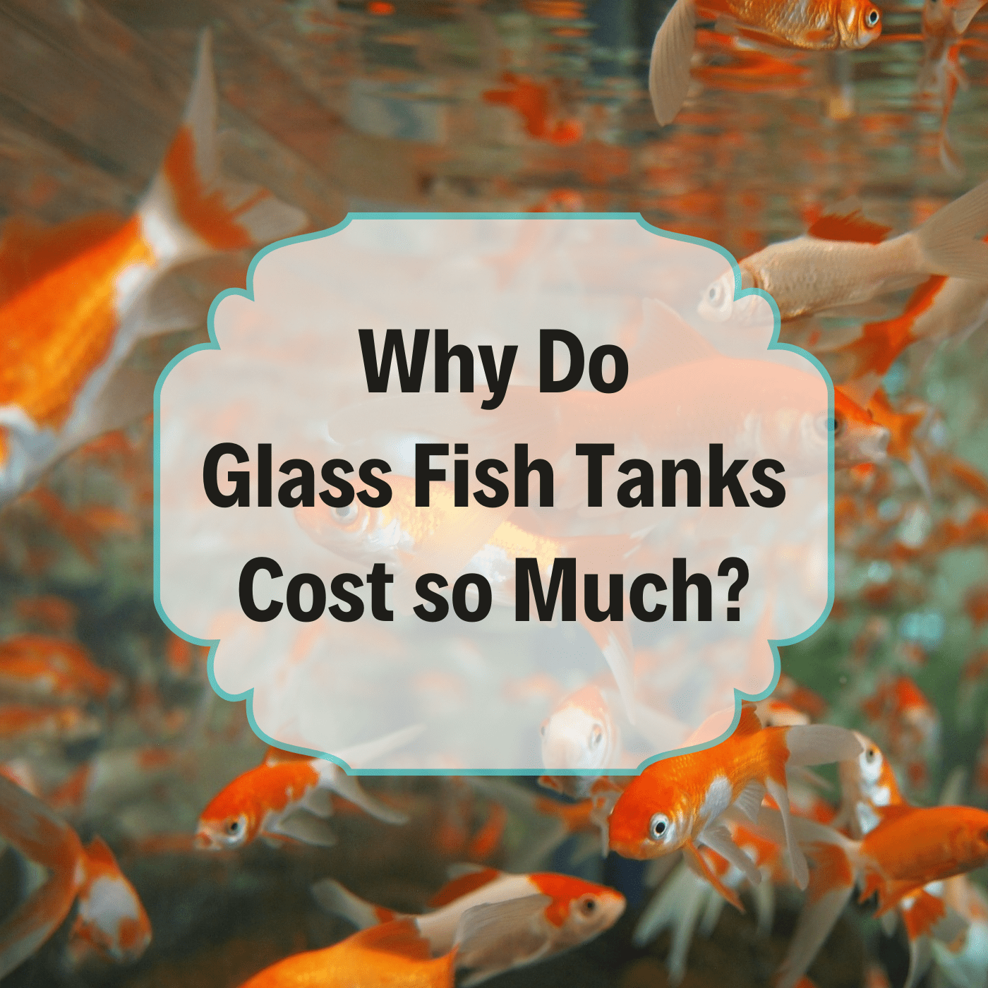 Hidden and recurring costs many beginners miss