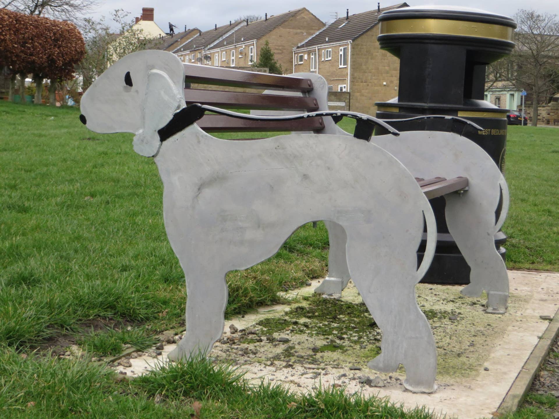 The Bedlington Terrier: Unraveling the History of a Hunter's Companion