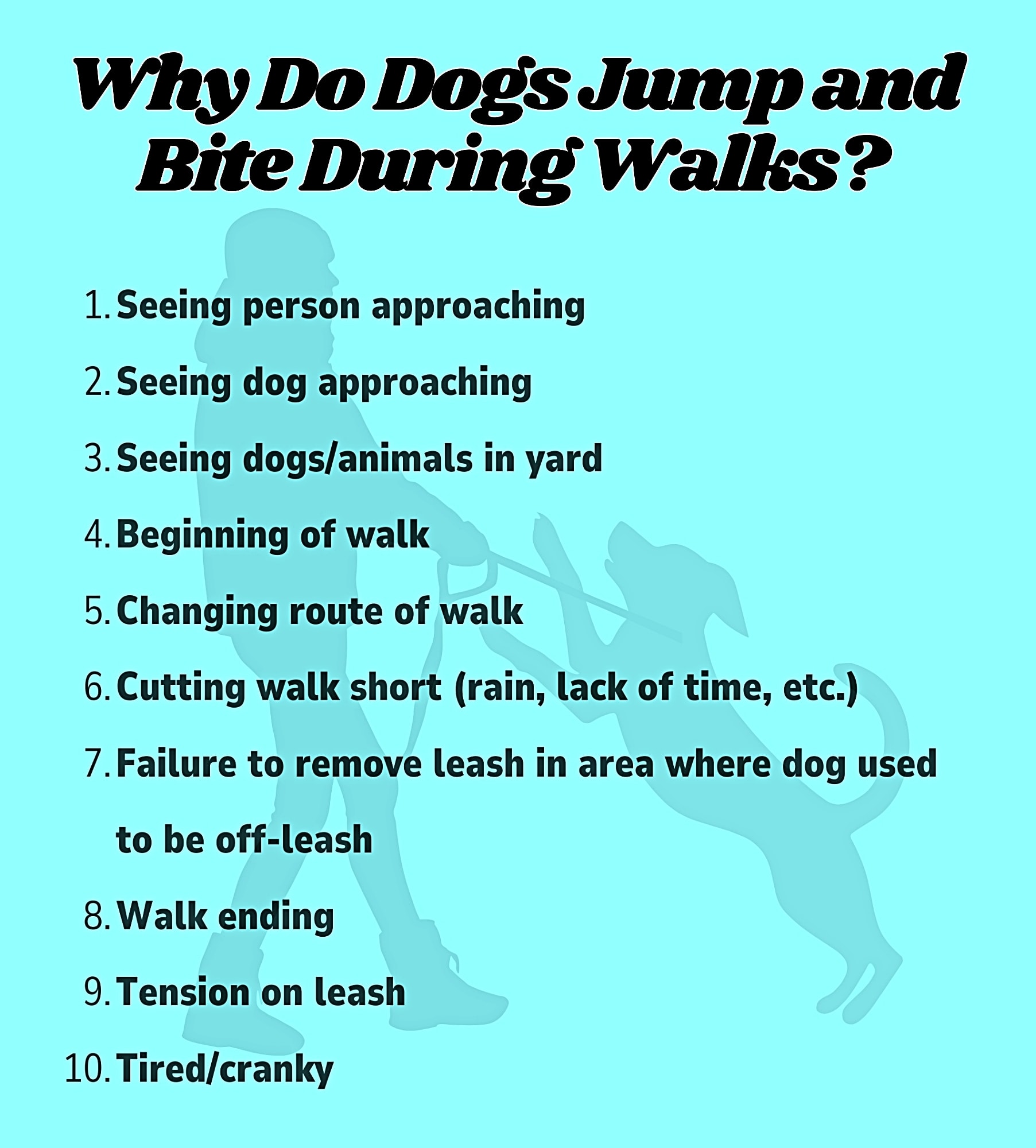 Why Does My Dog Jump And Bite Me On Walks
