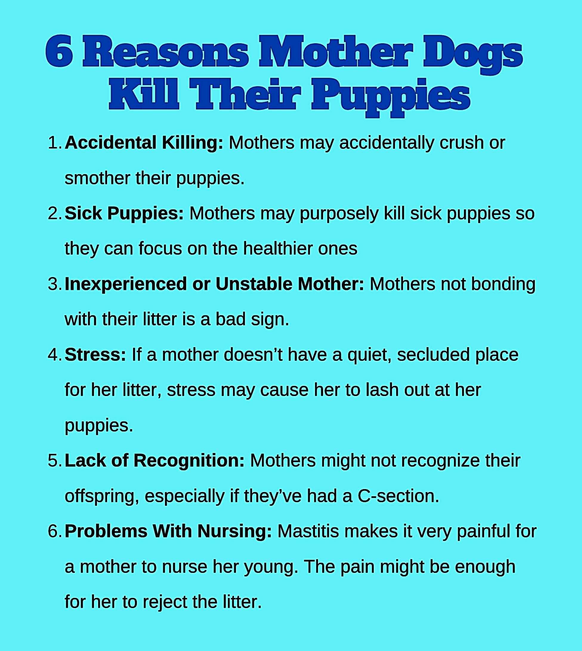How To Prevent Mother Dog From Crushing Puppies