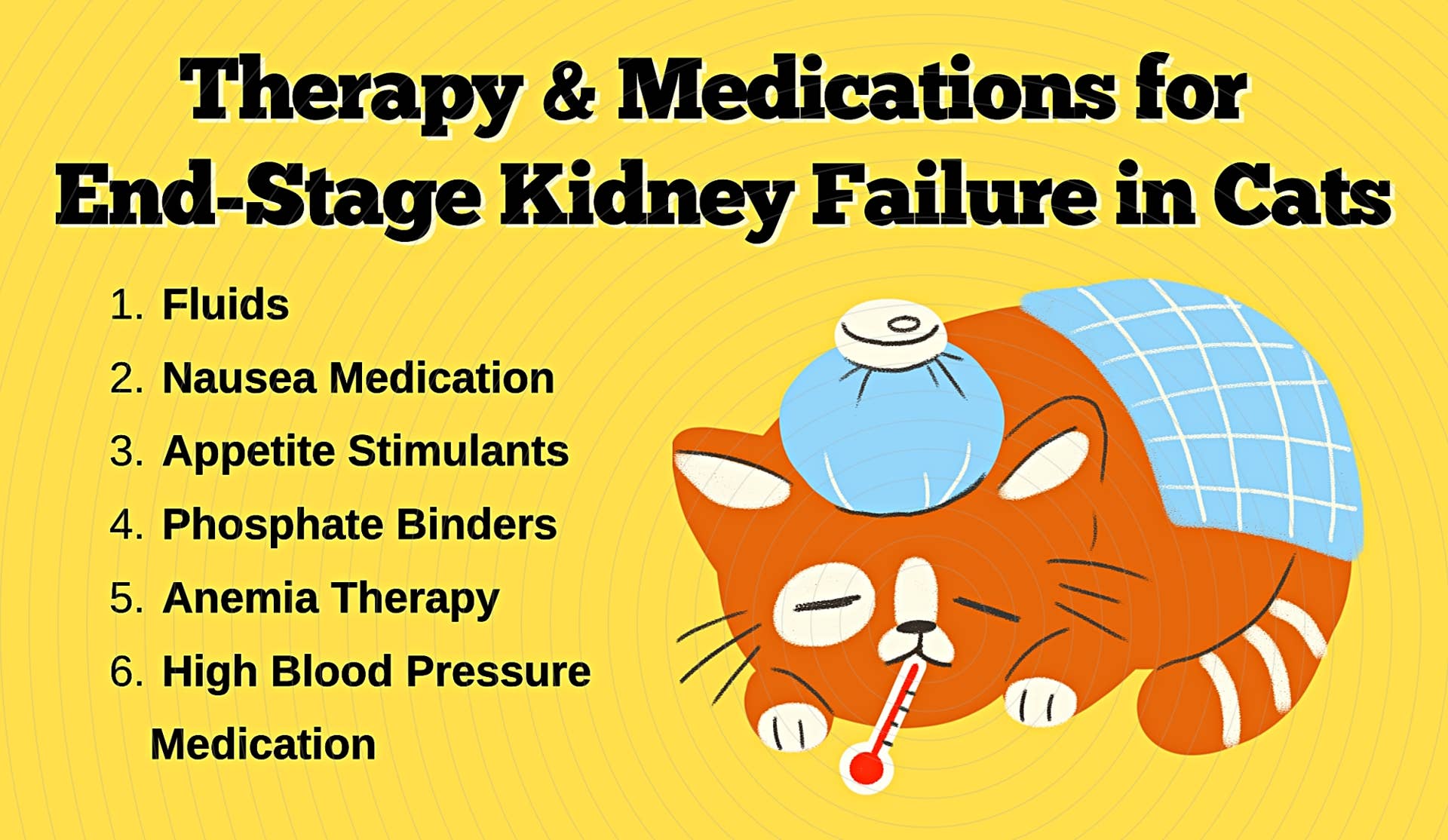 Illustration of Kidney Disease Cat Life Stages