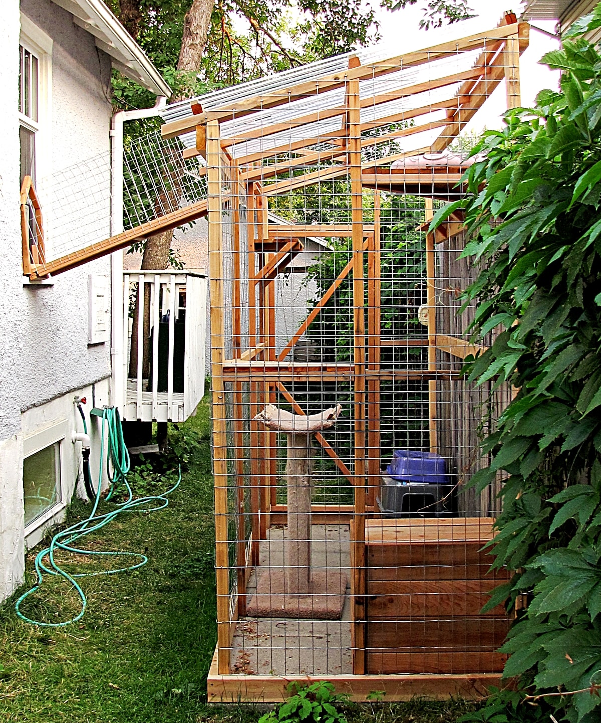 caging a cat at night