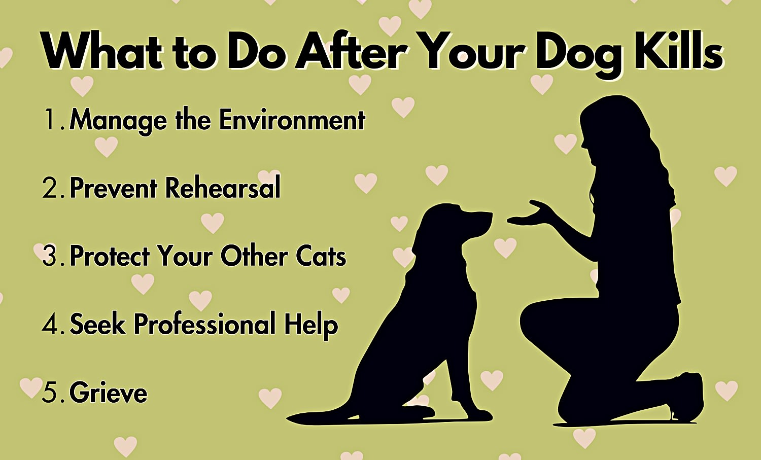 How To Forgive Your Dog For Killing Your Cat