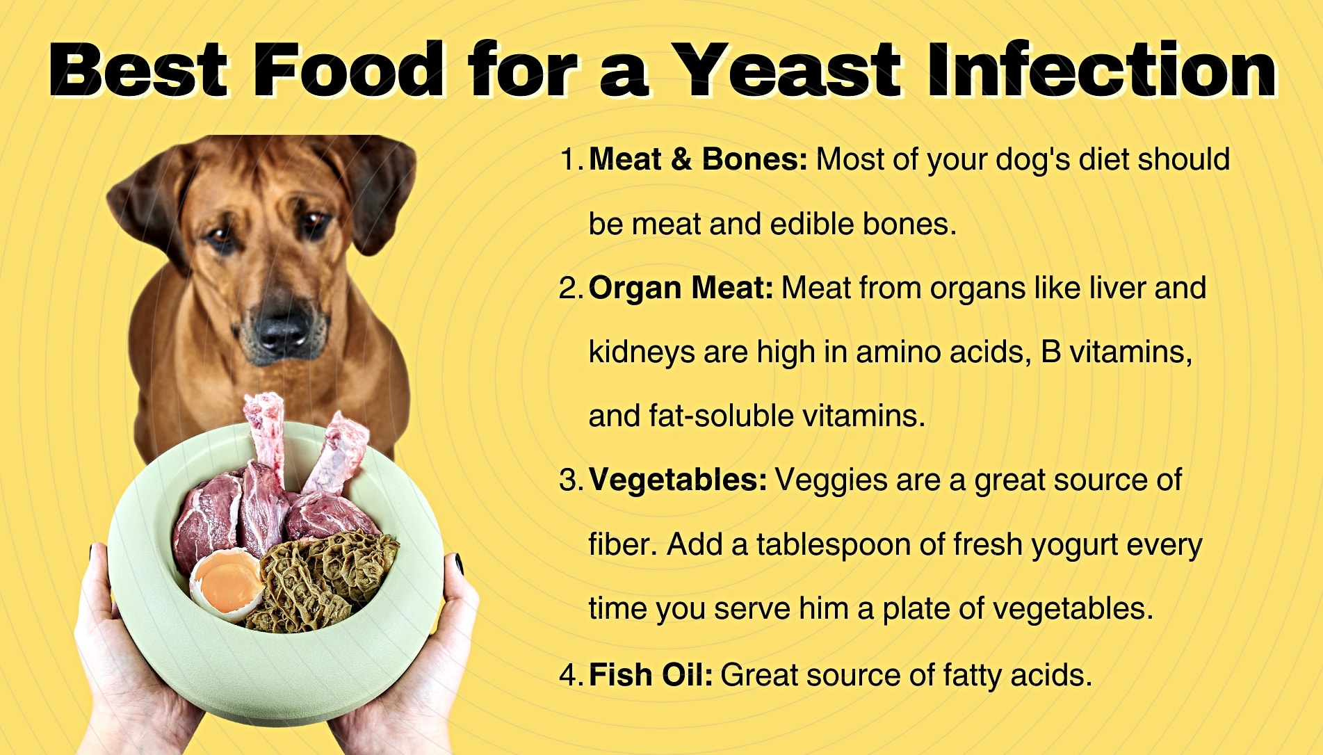 home treatment for yeast infection in dogs ears