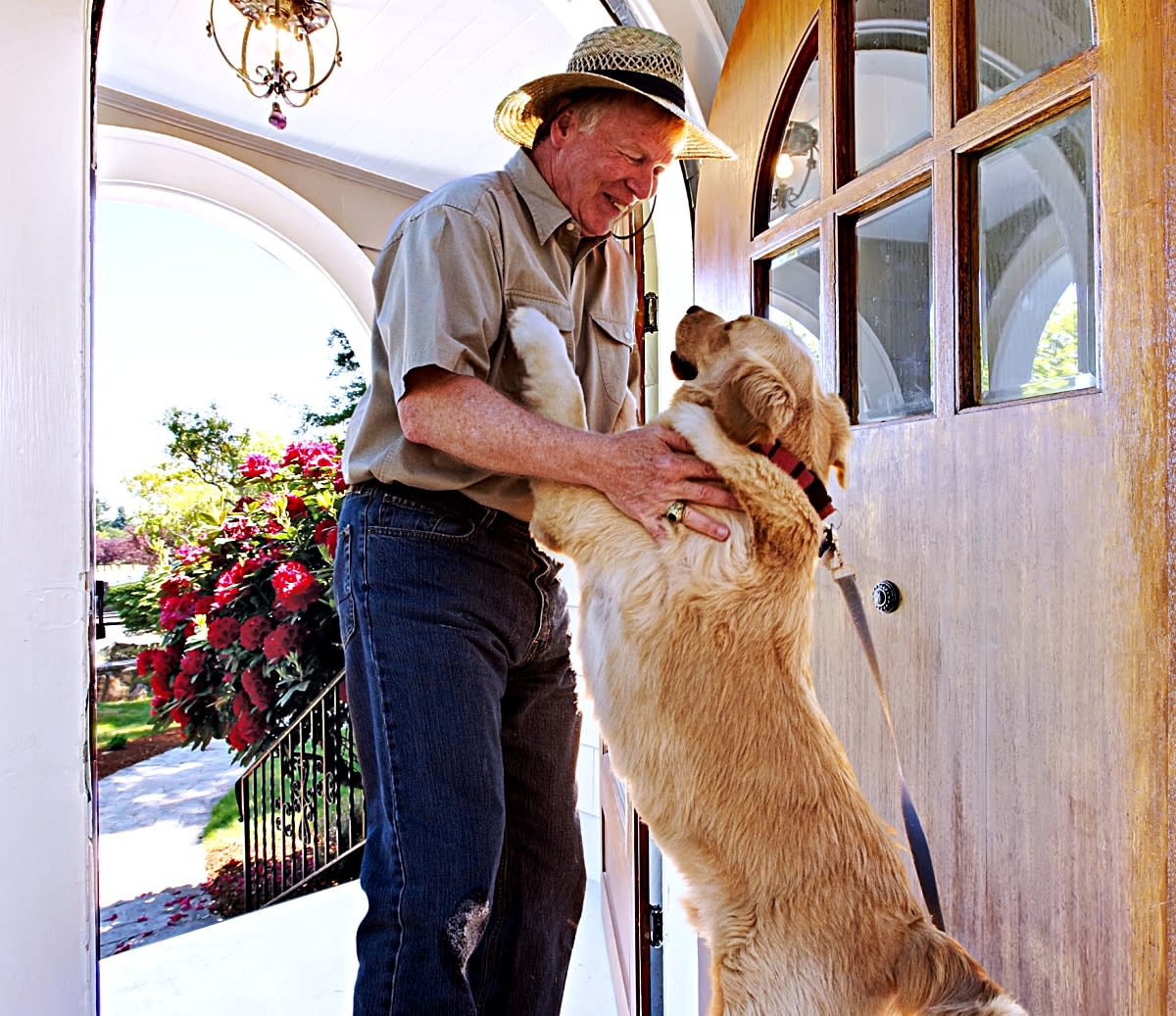 How to Get Your Dog to Stop Jumping on Guests - PetHelpful