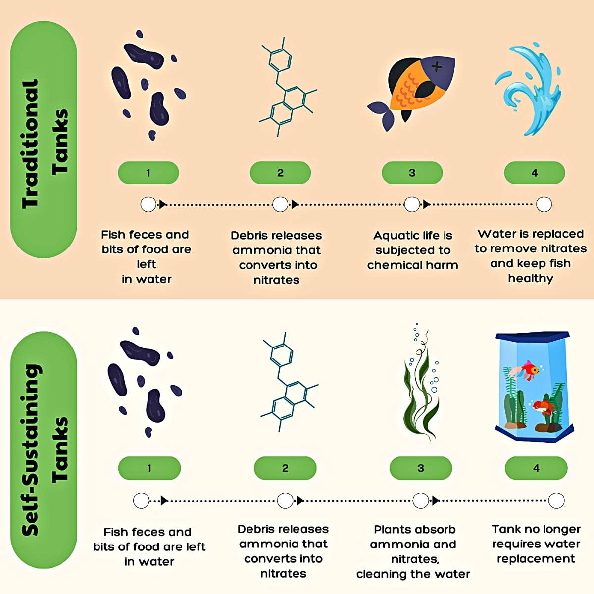 Beginner's guide to setting up an aquarium with live plants