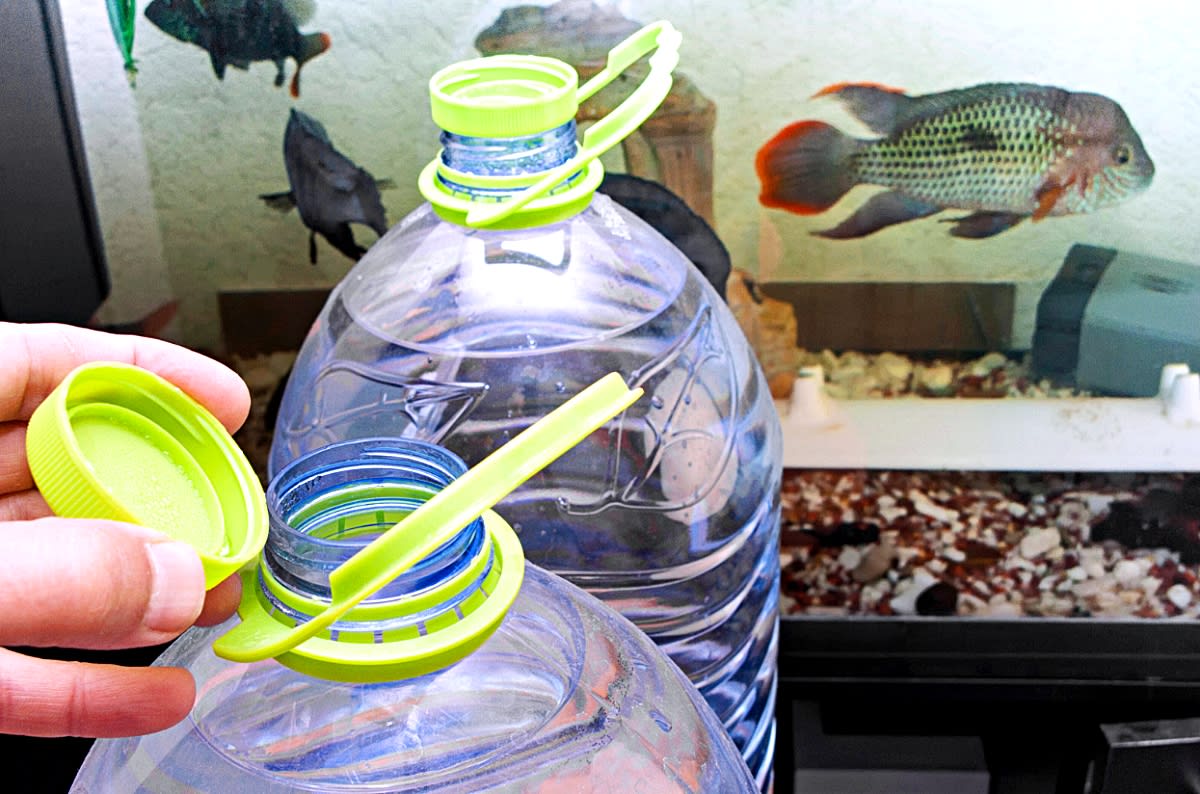Aquarium Water Treatment Tips for Hobbyists: Essential Expert Advice