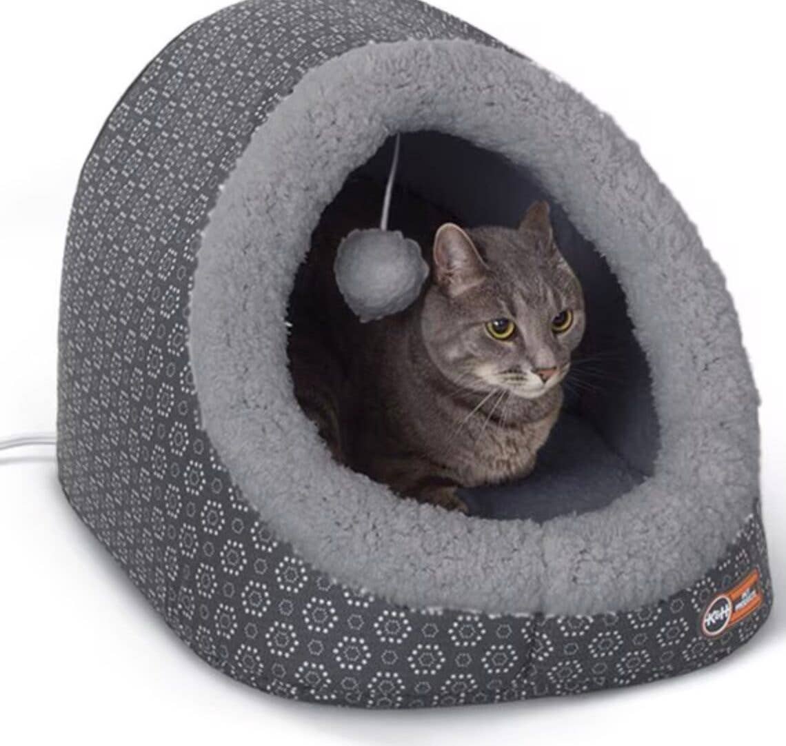 Image showcasing Chewy Heated Cat Bed Cats Can't Resist - PetHelpful