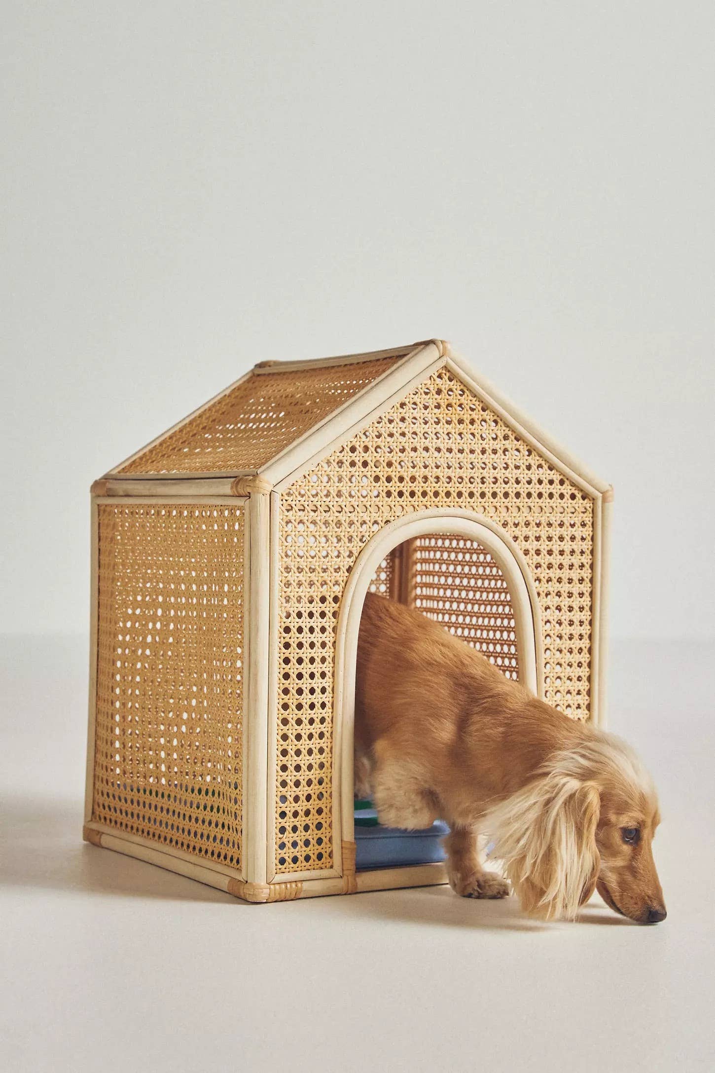 Beautiful view of Rattan Dog Kennel DIY