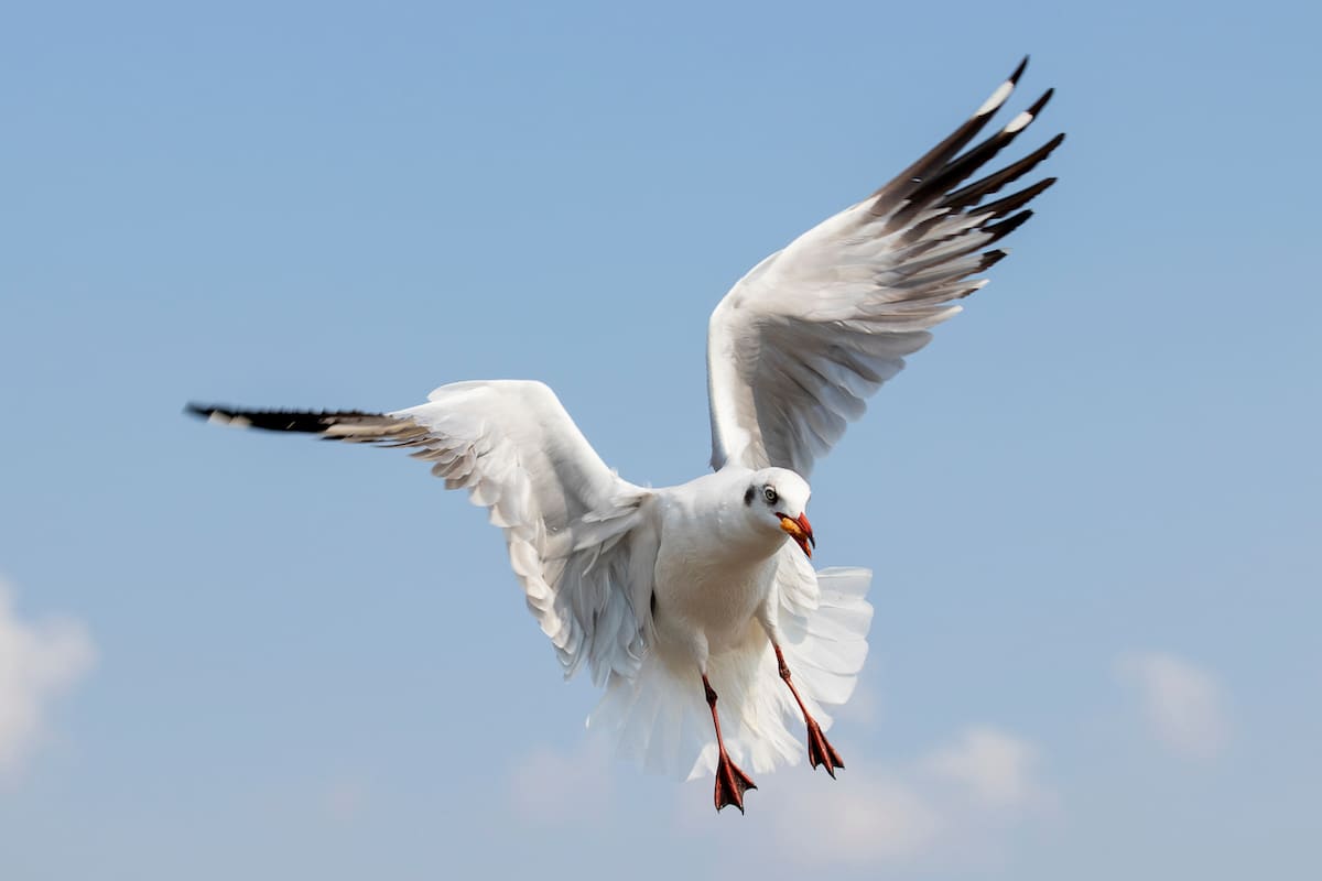 TV Reporter and Former Miss World New Zealand Struck in the Face By a