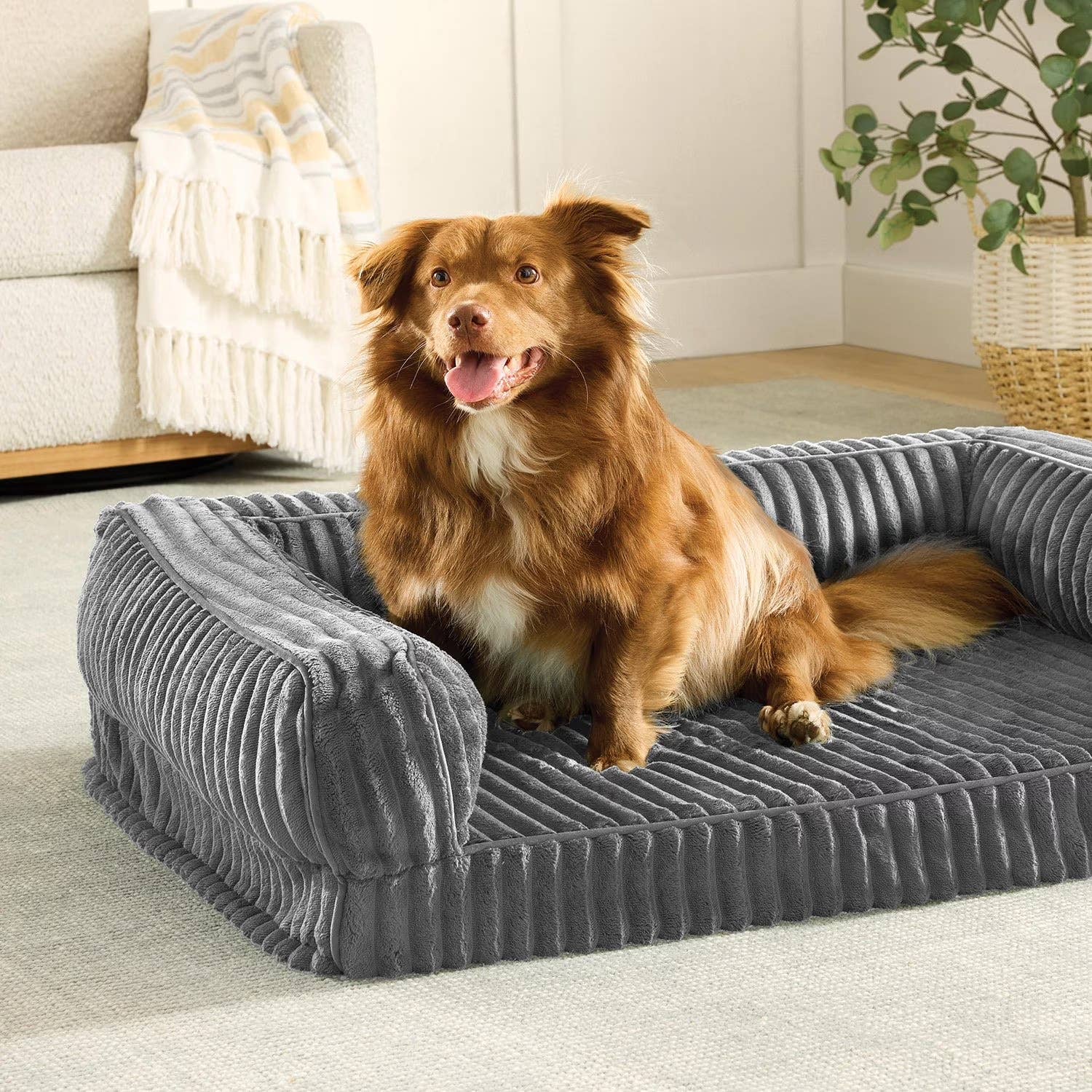 Sams Club Dog Bed