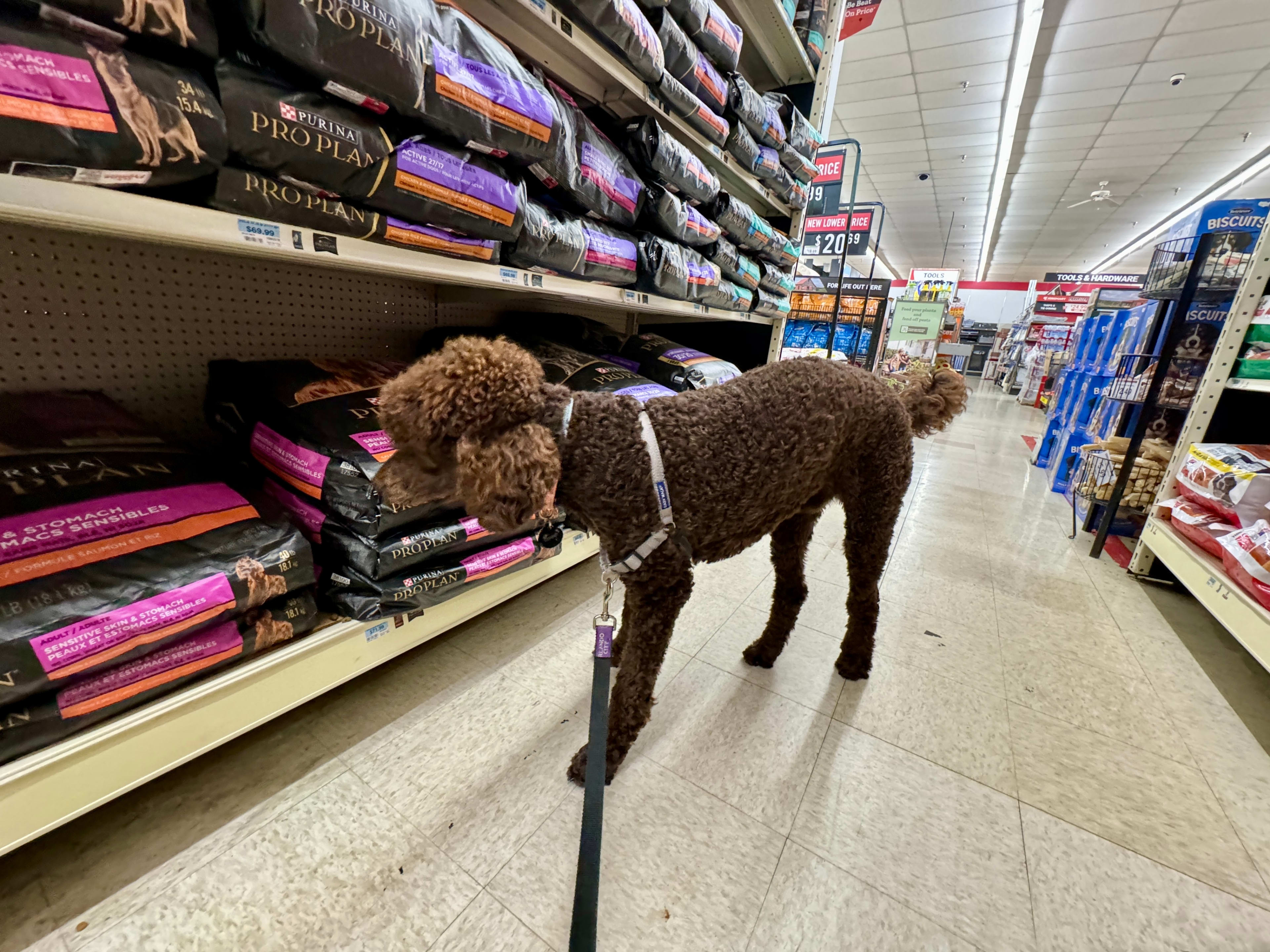 is-tractor-supply-open-on-christmas-2025-holiday-hours-pethelpful