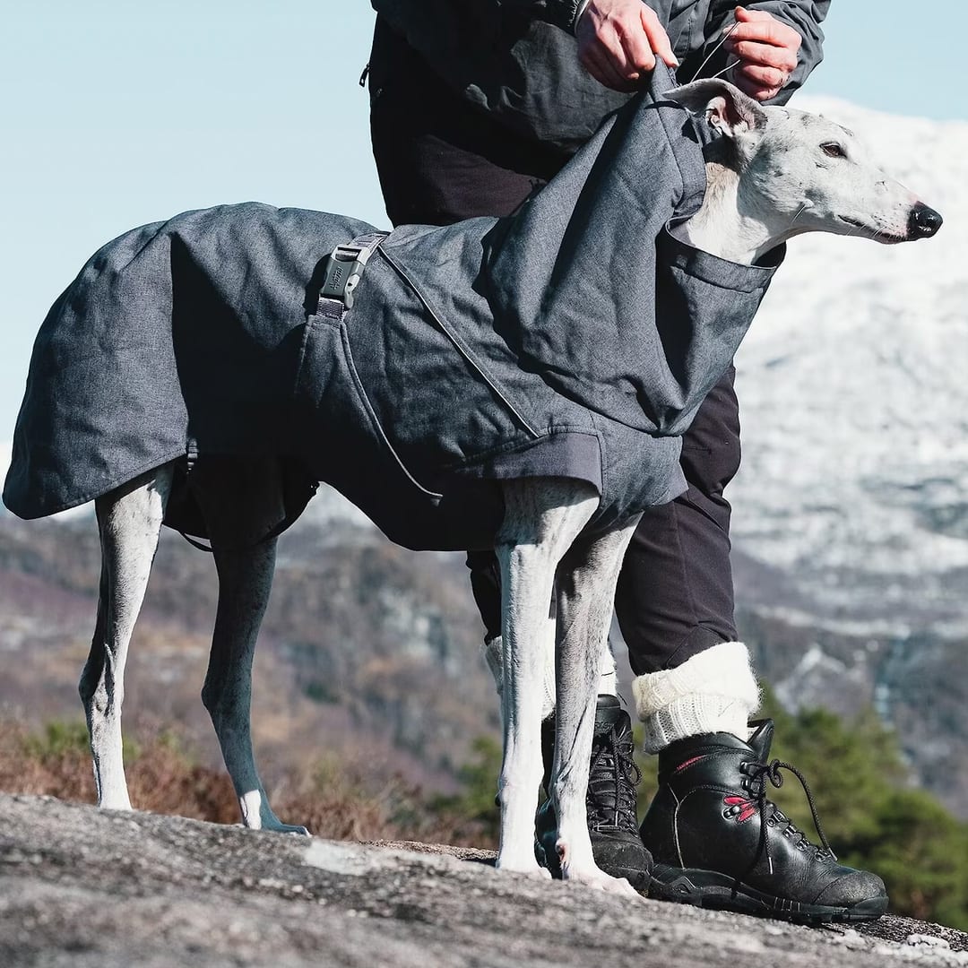 Chewy's Hurtta Expedition Insulated Dog Parka Is a Must-Have